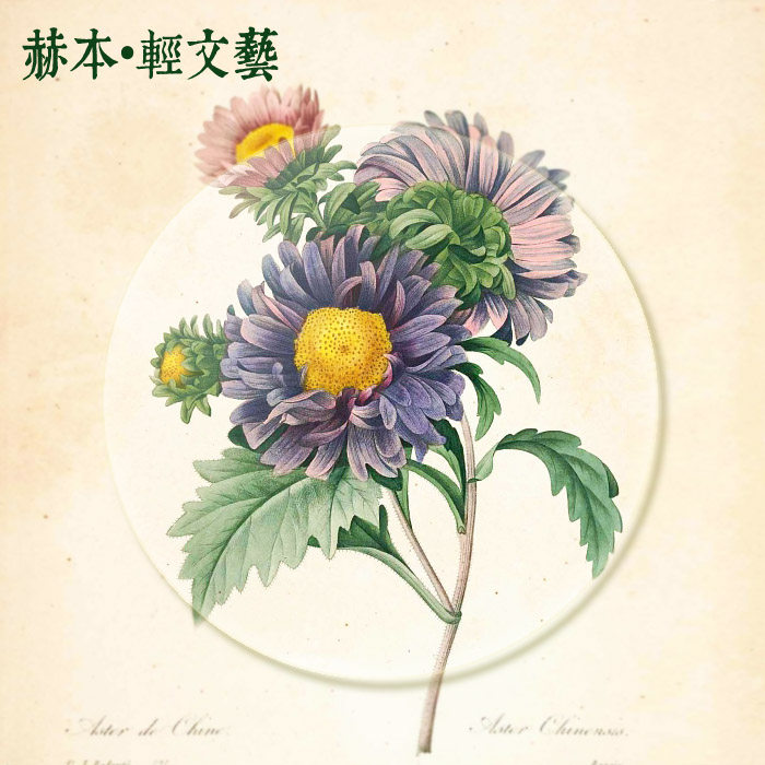 [Fixed products] 1.56 1.61 1.67 Aspheric Blue light Radiation protection computer Goggles tablets Ain the  ZIPPO/Swiss Army Knife/Glasses , Eyeglasses  category - from Buy2taobao.com to provide professional Taobao agent buy service