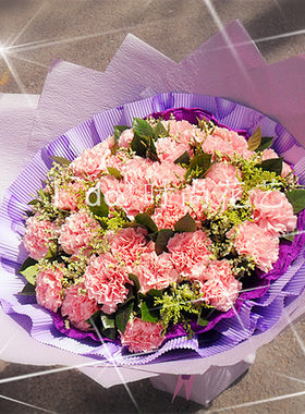 母亲节康乃馨鲜花速递