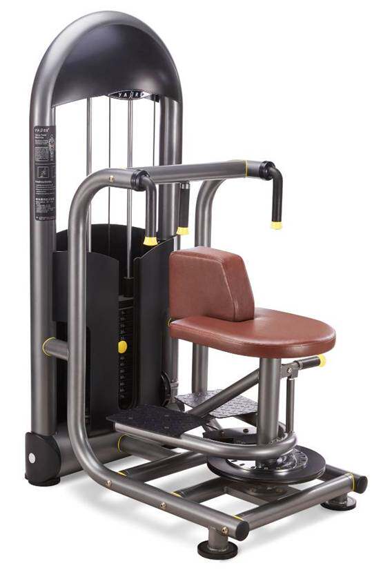 阳锐6219 腰部旋转训练器 健身房商用腰部旋转训练器