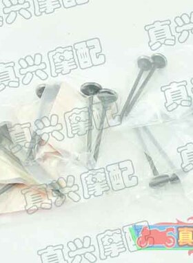 适用本田CBR250/19/22期蓝宝石小黄蜂250汽门进气排气门