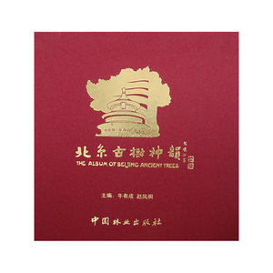 北京古树神韵