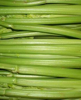 新鲜西芹 美国芹菜 新鲜绿色蔬菜 零农药  6块  一斤