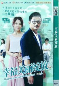 电视剧 幸福从天而降下部幸福美丽绽放 经济版盒装7DVD刘涛涂松岩