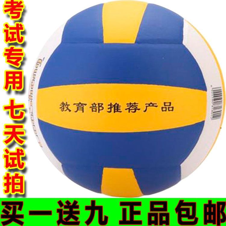 Ballon de volley-ball - Ref 2015291 Image 1