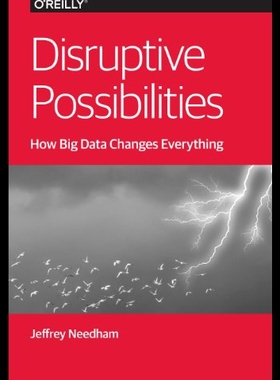 【预售】Disruptive Possibilities: How Big Data Changes Ev