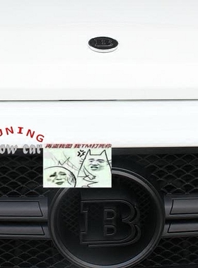 W463 G320G350G400G500G55G63G65 巴博斯 B标 机盖标 引擎盖章