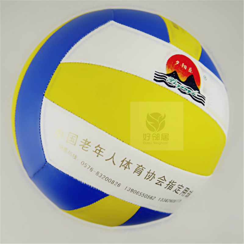 Ballon de volley - Ref 2009814 Image 1