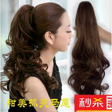 Extension cheveux - Chignon - Ref 249100 Image 28