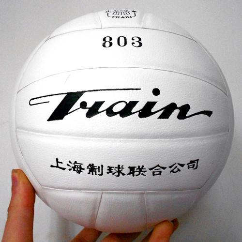 Ballon de volley - Ref 2016737 Image 1