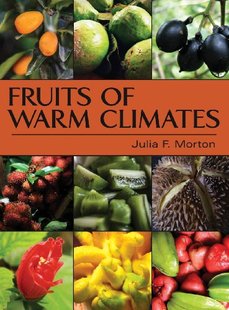 Warm Fruits Climates 预售