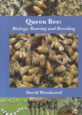 【预售】Queen Bee: Biology, Rearing and Breeding