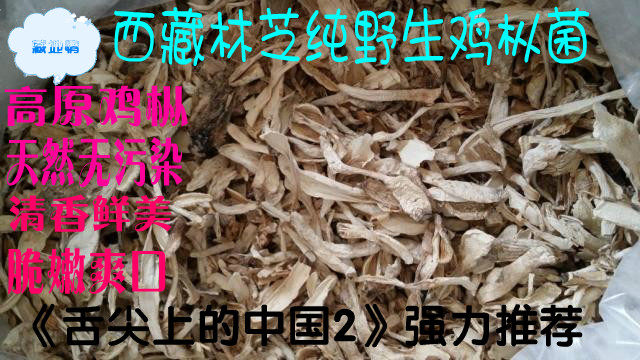 Tibet specialty Tibet Nyingchi Plateau wild Fowl longitudinal bacteria 250 gram dried foodin the Agri rice/Dried foods/Condiment , Dried foods/Meat Dry , Dry/Native , Mushroom category  category - from Buy2taobao.com to provide professional Taobao agent buy service