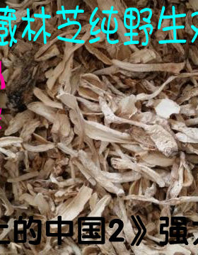 500克西藏纯野生鸡枞菌