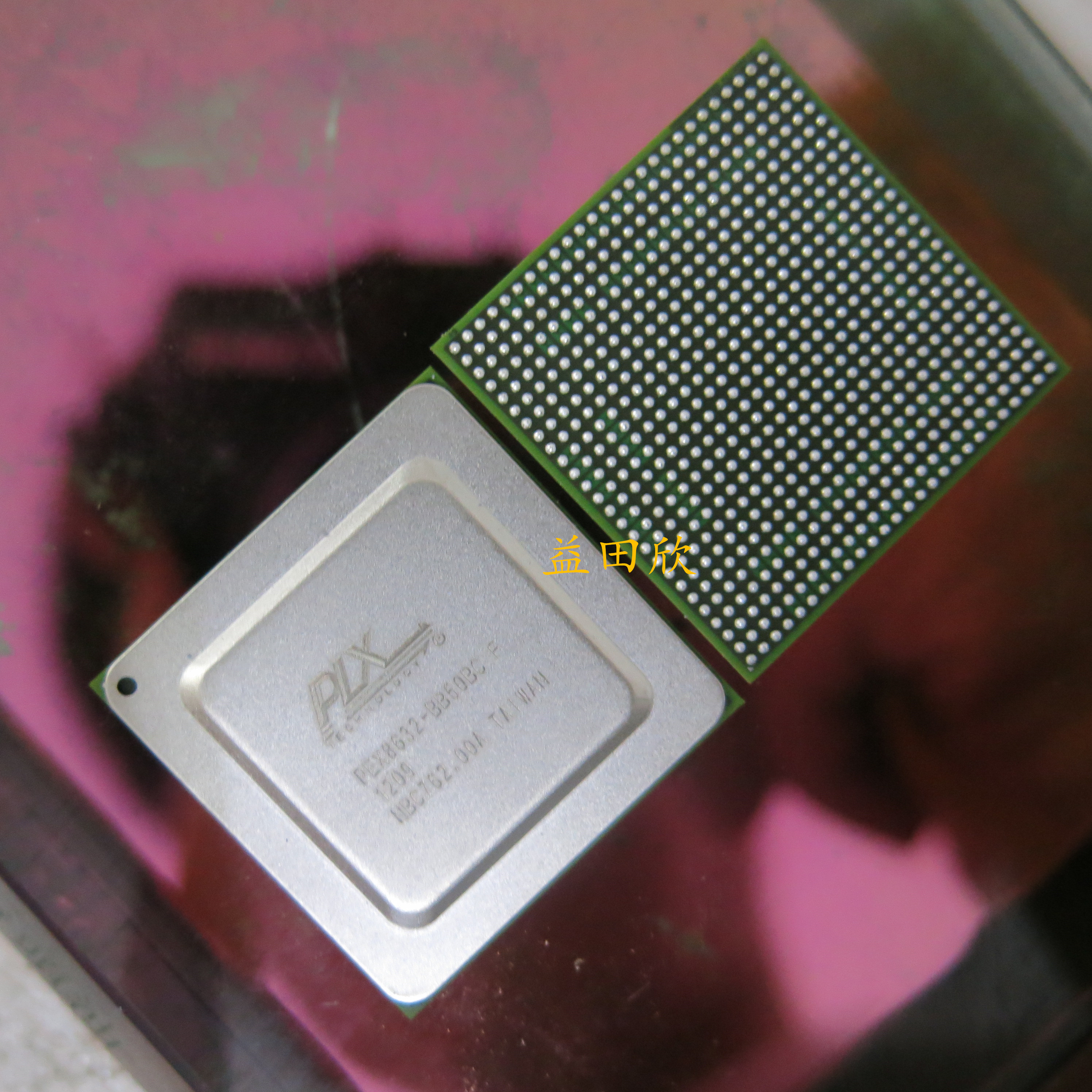 PLXBB50BCFPEX8632现货
