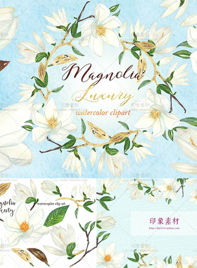 唯美淡雅白色玉兰花朵木兰请柬贺卡卡片PSD源文件PNG免抠图片素材