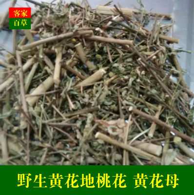 黄花地桃花 黄花母 黄花稔 土黄芪 素花草 500g 包邮