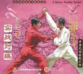盒装 正版 八法拳实战对练 武世俊拳风系列 1VCD 武术教学