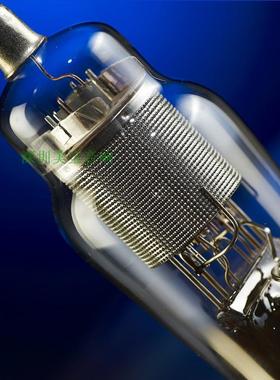 PSVANE 贵族之声 电子管  复刻西电 WE310A 单只价