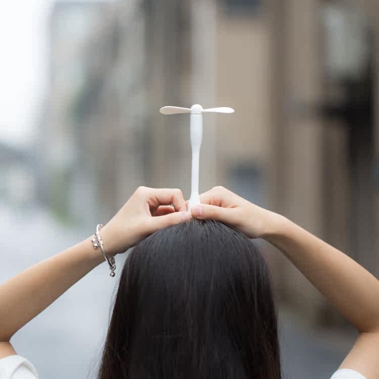 Ventilateur USB - Ref 399914 Image 1