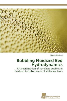 【预售】Bubbling Fluidized Bed Hydrodynamics
