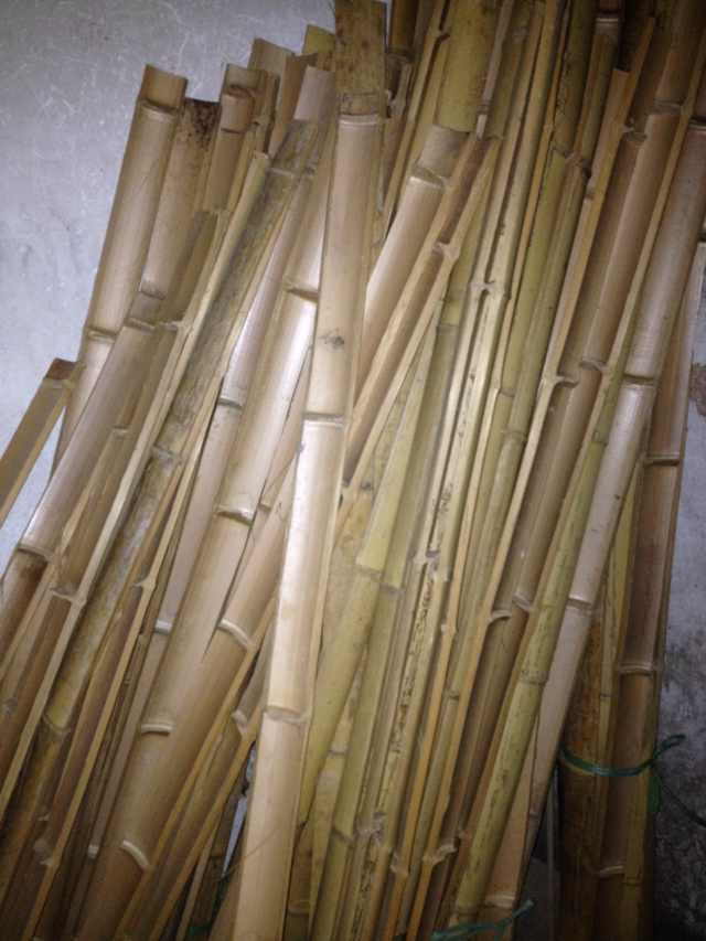 手工达人角弓用的竹胎竹弓制作的材料竹片经过蒸煮脱脂干燥处理