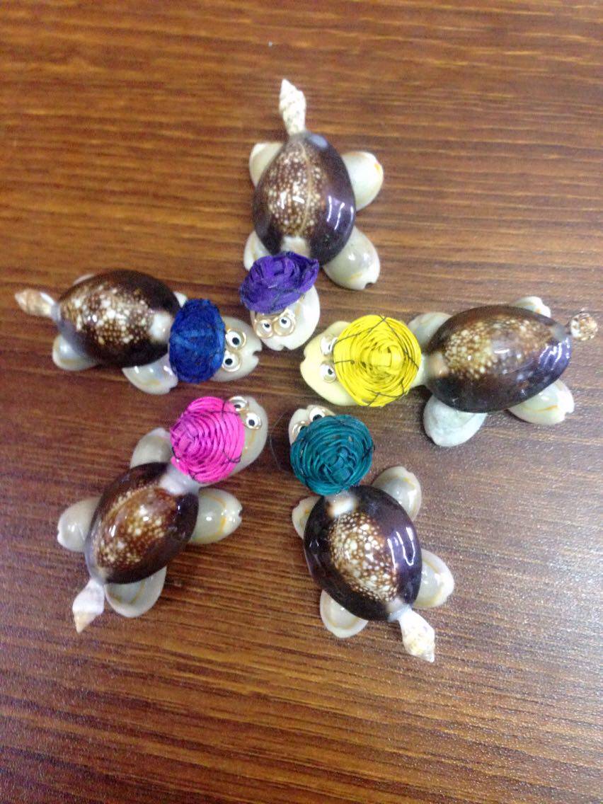 Factory direct natural conch shell straw hat small Dr Turtle Hot stall supply handicraft decoration wholesale