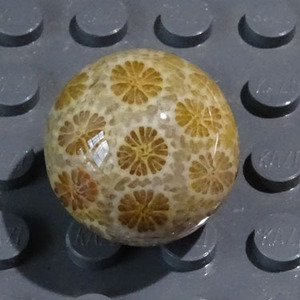 千蕊天然珊瑚玉圆珠DIY配珠手链珠配件配坠珊瑚化石单珠散珠实物