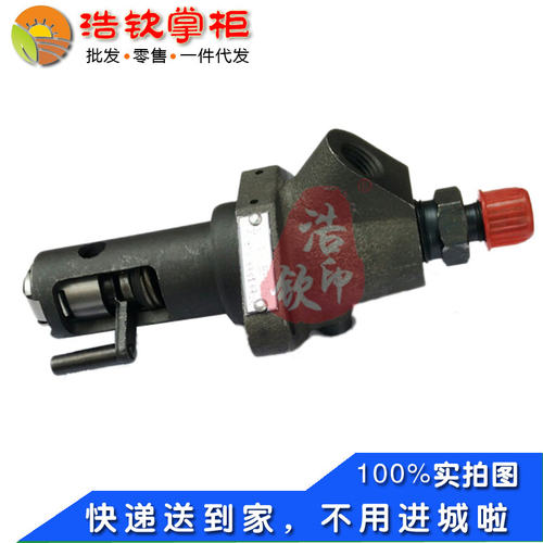 湖南滨湖桃花源正滨风冷四行程柴油机BH175F真强高压油泵区分长短