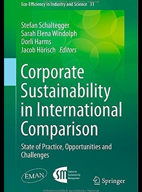【预售】Corporate Sustainability in Internatio