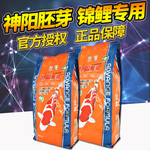 神阳  胚芽锦鲤饲料 增色增体增肥鱼食 金鱼粮增艳 低水温 不浑水