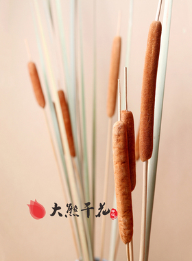 水蜡烛自然干花装饰花客厅
