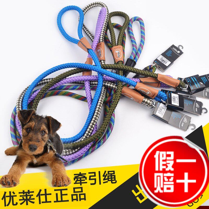 狗狗圆绳拉带宠物牵引绳中小型犬边牧泰迪银狐狗狗牵引带狗绳狗链