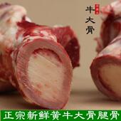 牛棒子骨宠物狗狗磨牙 牛腿骨正宗土黄牛 新鲜牛骨头 牛大骨