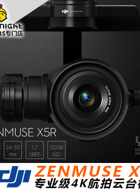 DJI 大疆 悟1 INSPIRE 1 Zenmuse X5R 4K RAW专业级航拍云台相机