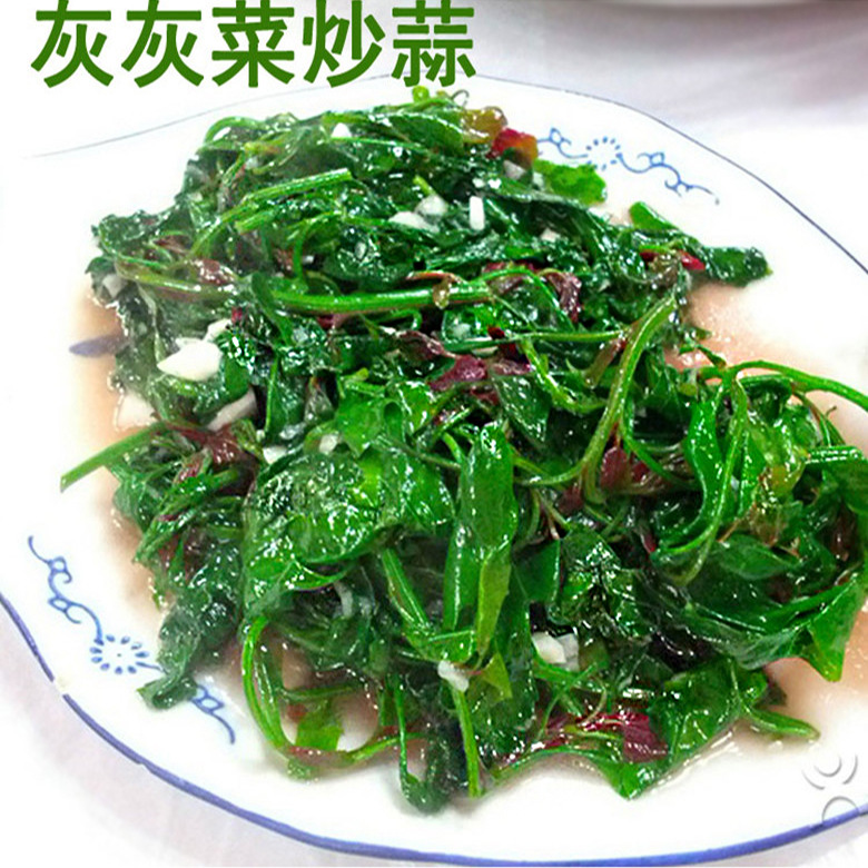 甘肃康县纯天然野生灰灰菜干货 凉菜 野菜山珍盒装150g厂家直销