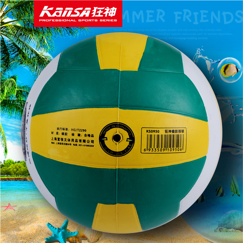 Ballon de volley-ball - Ref 2008003 Image 3