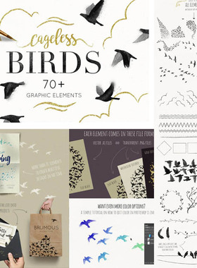 A0220矢量水墨风格飞翔的鸟群插画羽毛AI设计素材+PNG格式