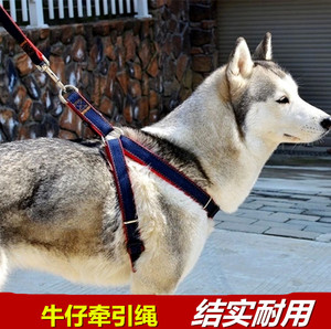 宠物胸背带 狗链 牵引绳 小泰迪贵宾狗绳子 中大型犬金毛牛仔牵引