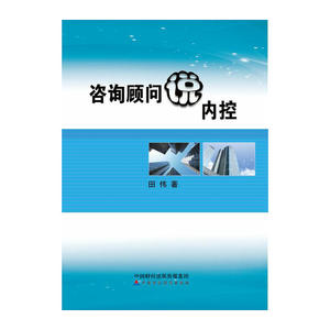 咨询顾问说内控