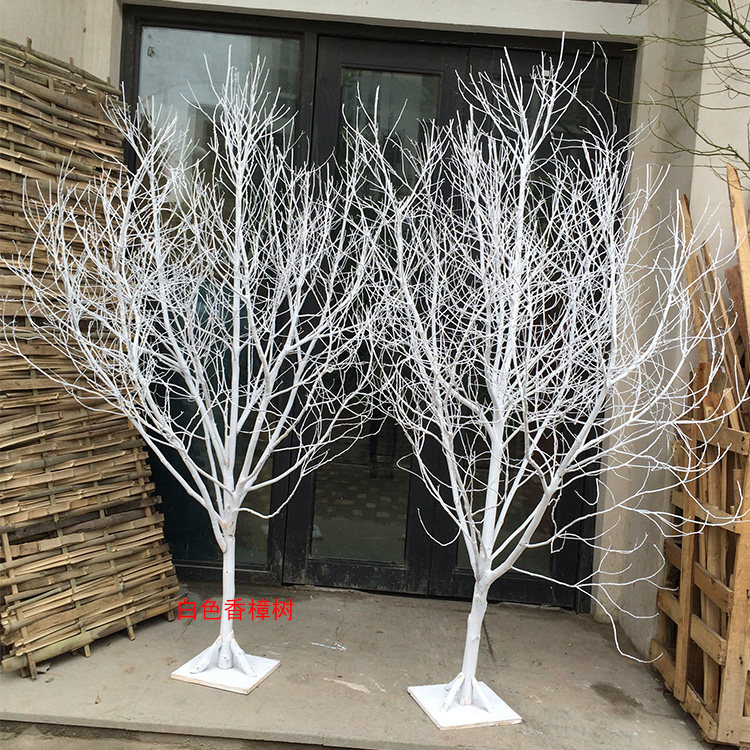 天然香樟树 许愿树 造型树枯树枝 白树枝白树干婚庆婚礼活动道具