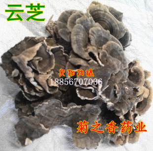 中药材 野生 云芝 黄云芝 杂色云芝 千层蘑 灰芝 500克