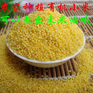 农家五谷杂粮黄小米食用小黄米新米月子米吃 粥粗粮500g