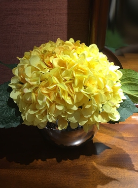黄色绣球花套装组合卧室玻璃瓶