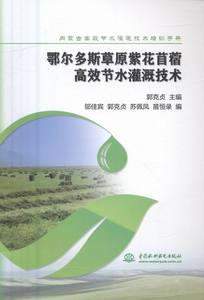 内蒙古gao效节水灌溉技术培训手册 郭克贞 中国水利水电出版社 水资源调查与水利规划 书籍