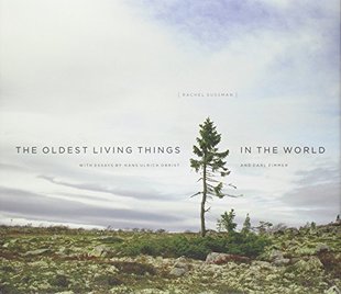 預(yù)售 Living Things Oldest the World The