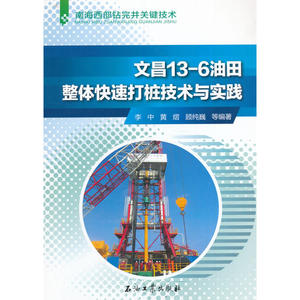 文昌13-6油田整体快速打桩技术与实践