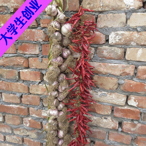 蒜辫 真实大蒜串农家乐酒店装饰素材农作物饰品拍摄道具五谷丰登