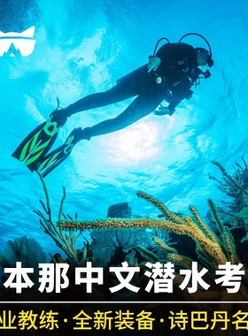 懒猫旅行 仙本那潜水考证ow+aow课程 诗巴丹浮潜深潜中心名额