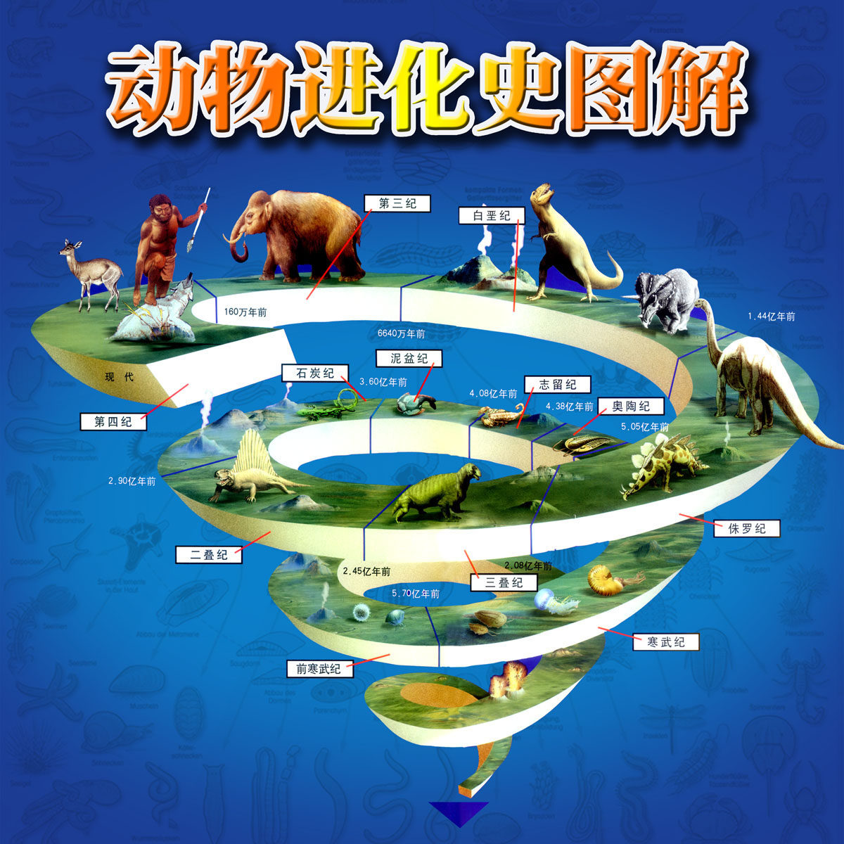 634摆件海报展板喷绘贴纸素材295动物进化史图解