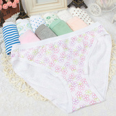 Slip A33 en coton - Ref 644222 Image 15